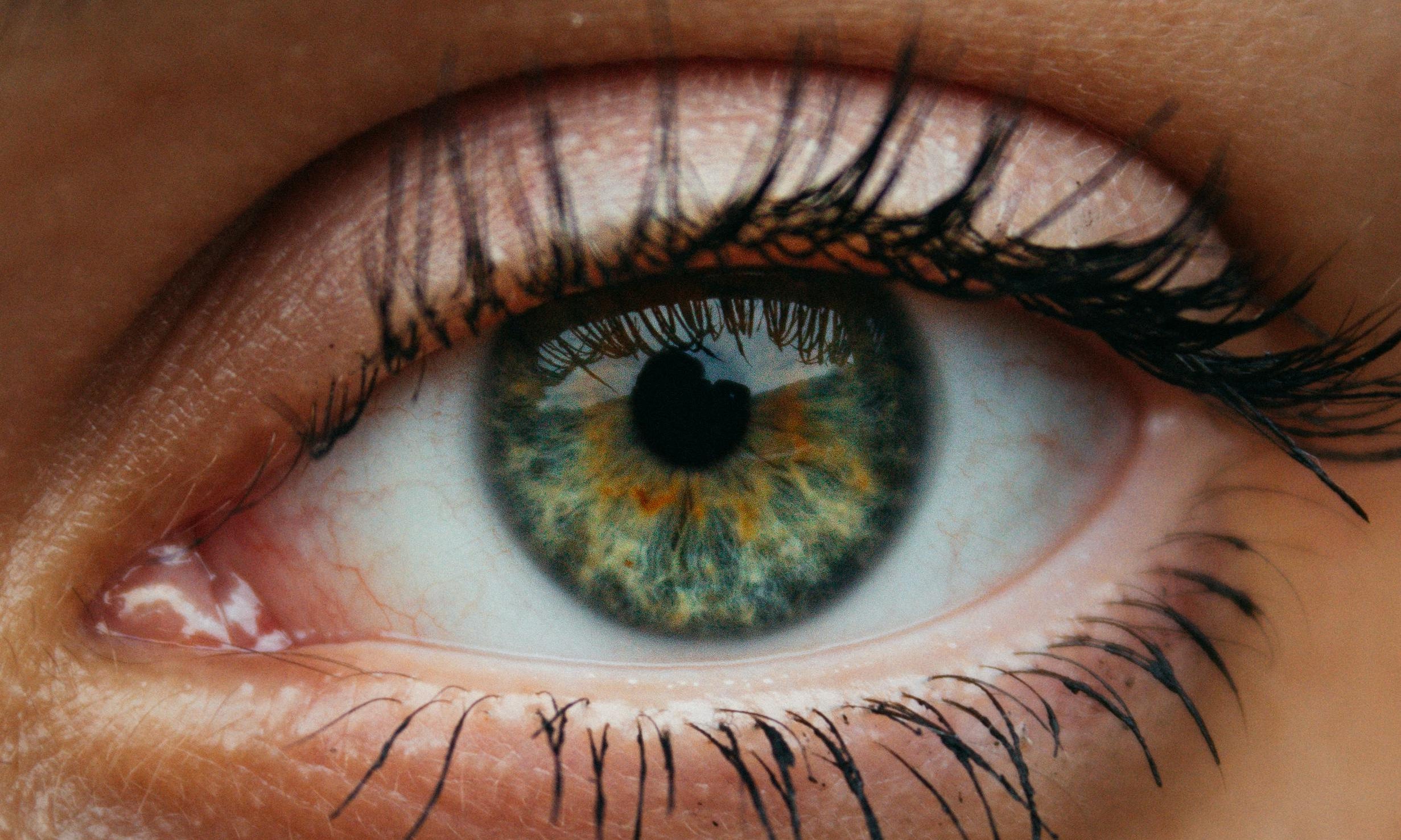 style lash lift korean