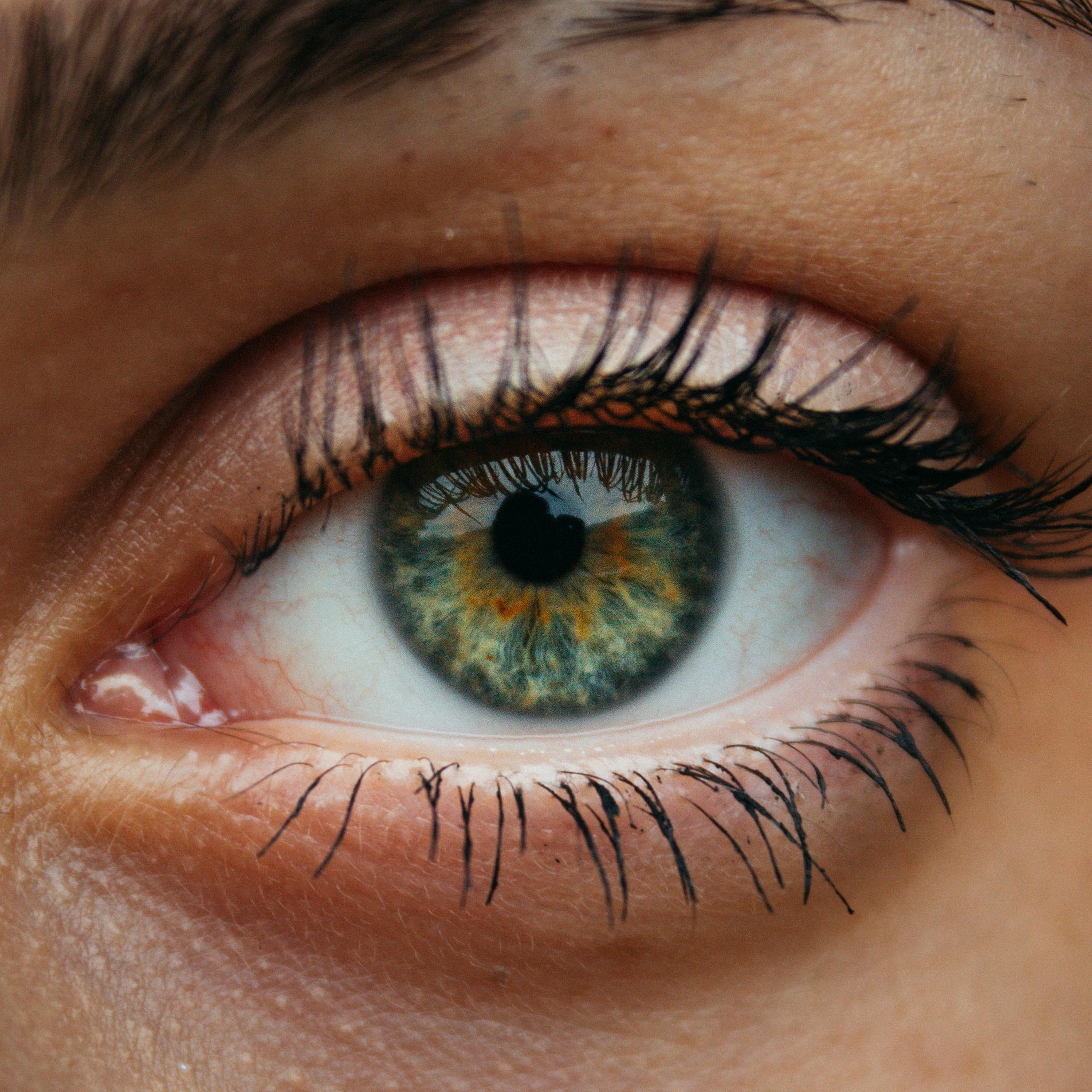style lash lift korean