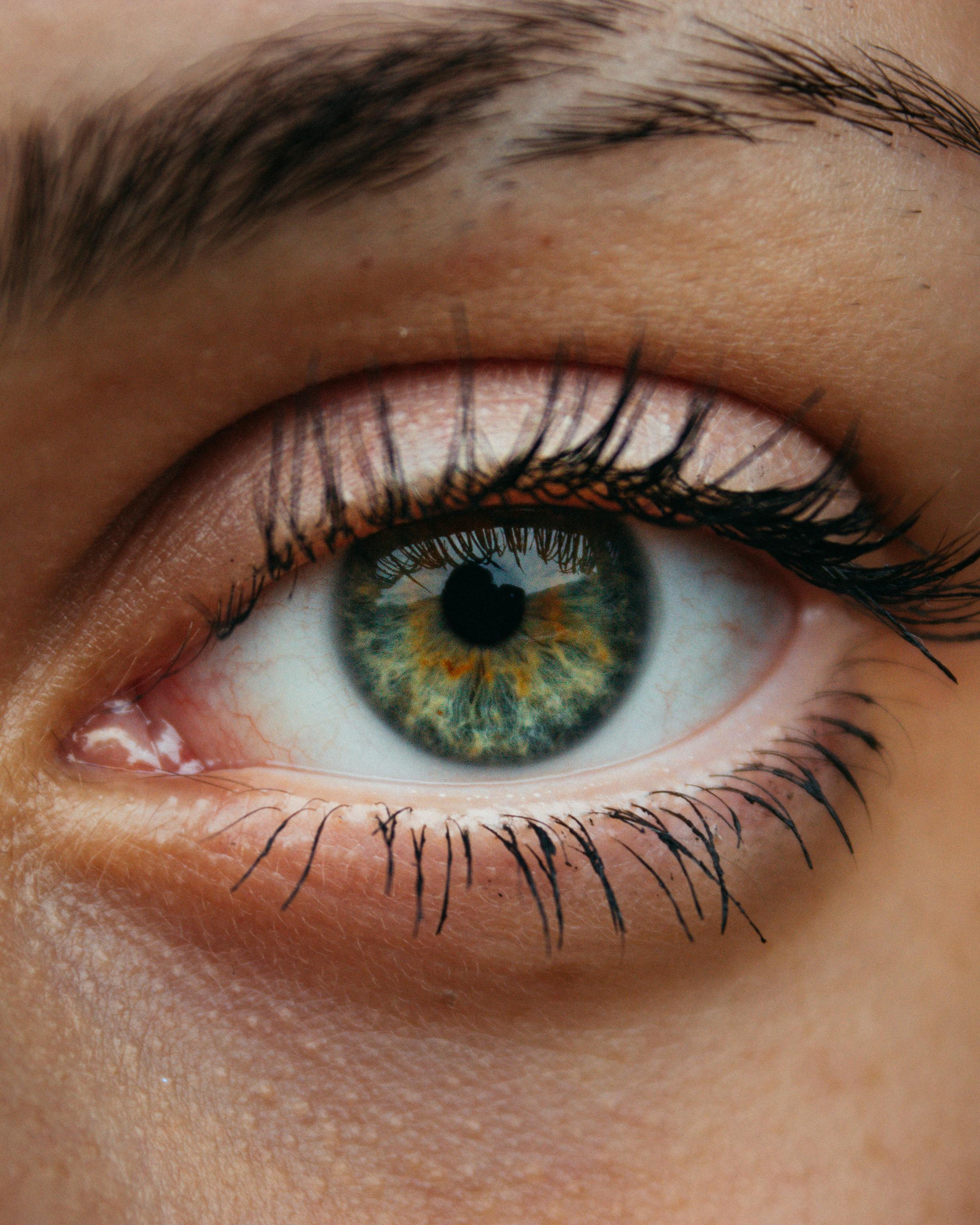 style lash lift korean